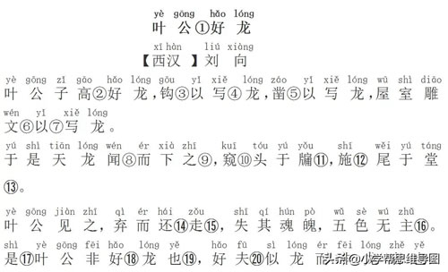 叶公好龙文言文翻译_叶公好龙的原文故事