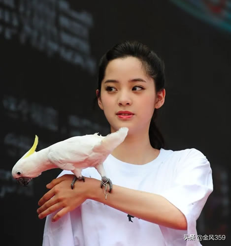 现代新诗作品欣赏_现代诗歌赏析分享