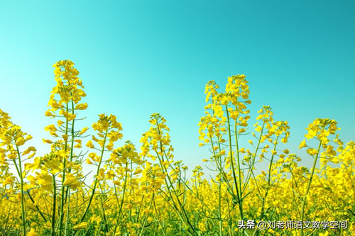 中国现代诗歌赏析_现代诗歌10首和赏析