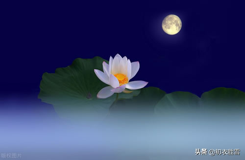 中秋思念亲人诗句有哪些_中秋思念家乡思念亲人的诗句