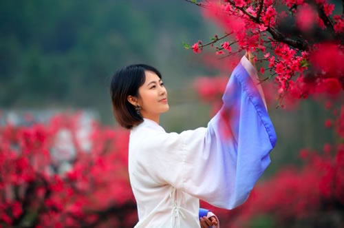 赞美桃花的优美句子_形容桃花的唯美短句