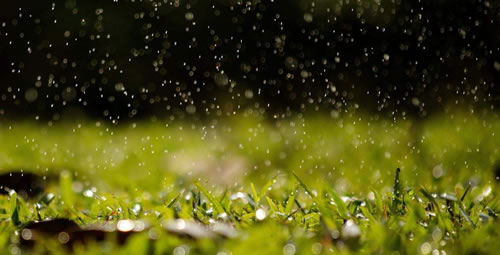 形容下雨的诗句唯美_形容雨声的唯美古诗词