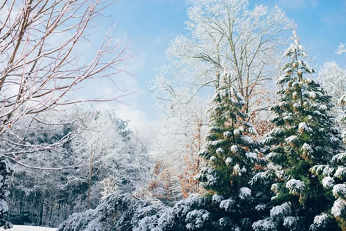 形容雪的诗句唯美_描写雪的唯美诗句大全