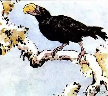 ѻϲԭļ_ѻϲ