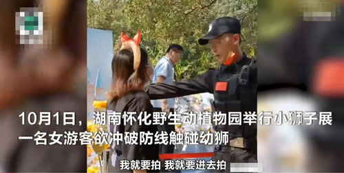 游客执意接触幼狮致展出结束_我就要进去拍