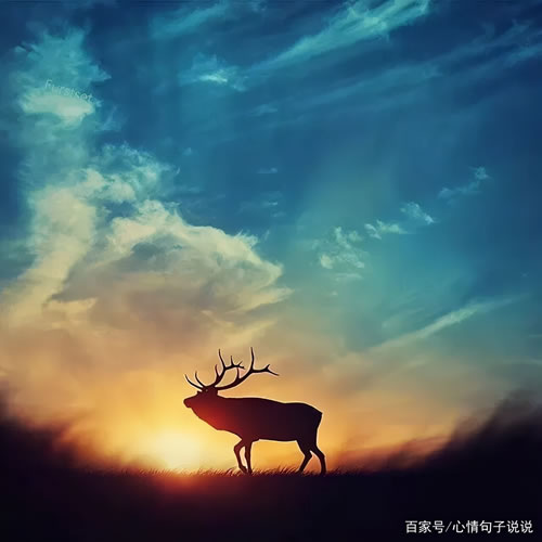 ־¼_־¼̾