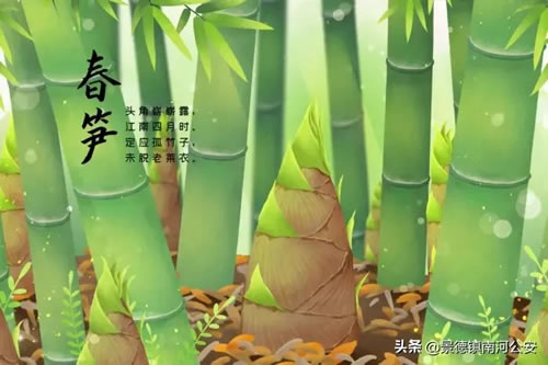 描写春天的诗句古诗_描写春天的诗句古诗大全