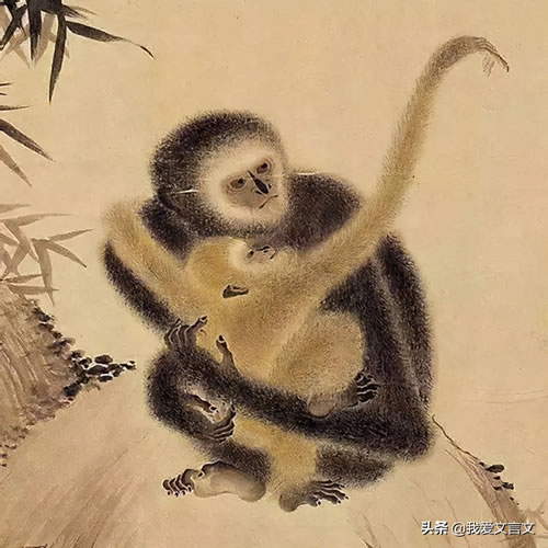 Գ˵ķ뼰_