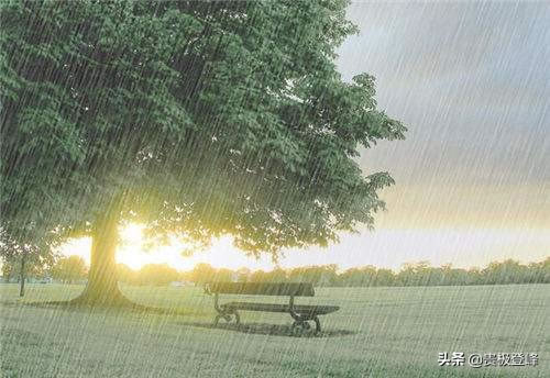 雨开头的诗句有哪些_关于雨的唯美句子