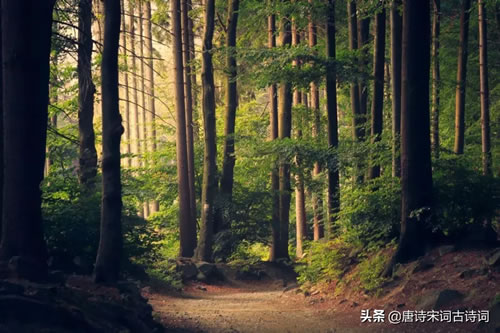 励志古诗词经典名句_激励人的古诗词经典名句