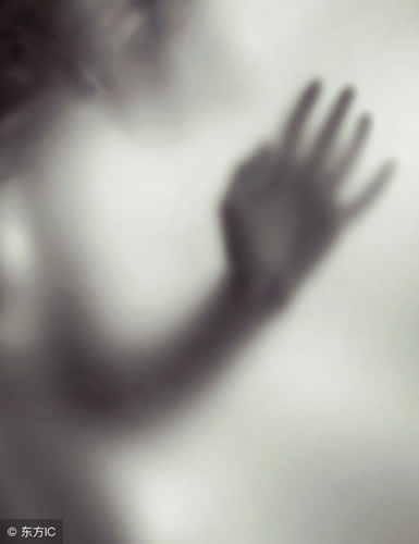 һֲɭĶ̾_ֲİ