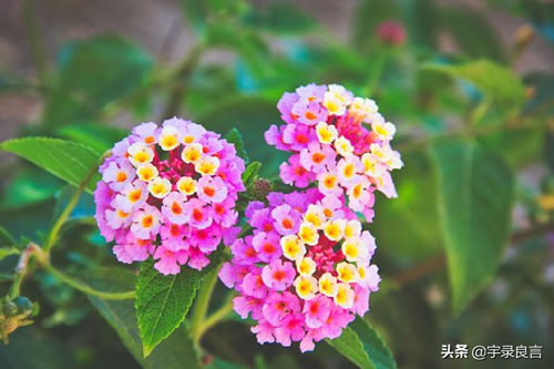 形容精神状态好的经典句子_状态好的正能量的句子