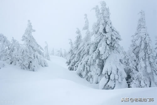 描写雪景的诗句有哪些_描写雪的古诗名句