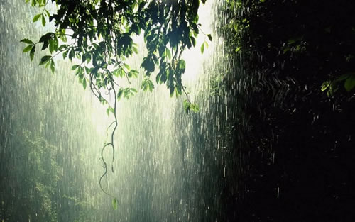 形容雨声的唯美句子_写下雨的声音优美句子