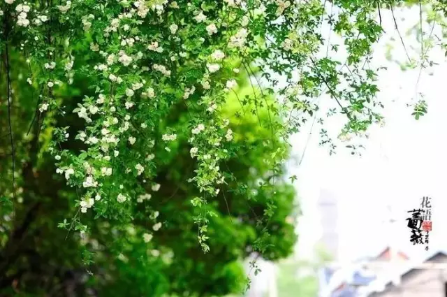 ִʫ辫ѡƪ_йִʫȫ