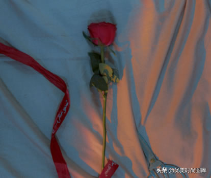 һ˵ŵ_ľӾ