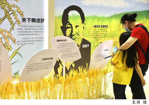 世界粮食日网友想念袁爷爷了_怀念袁老一粥一饭当思来之不易