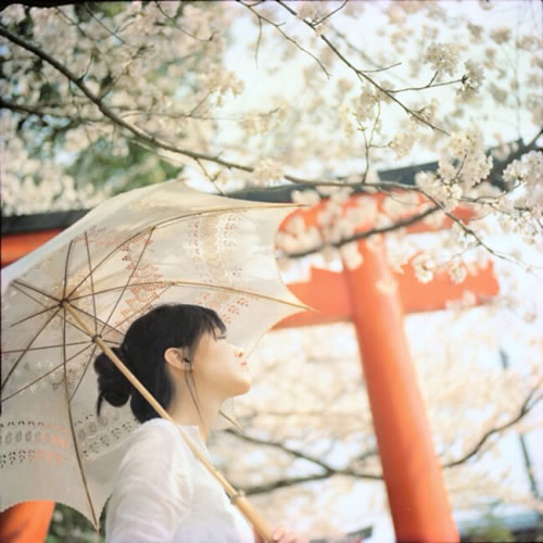 澭ӹڰ_澭ӷ