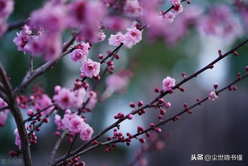 飞花两岸照船红的飞_飞花两岸照船红参照物
