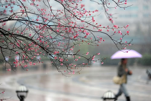 描写春雨的优美段落_形容春雨的唯美段落
