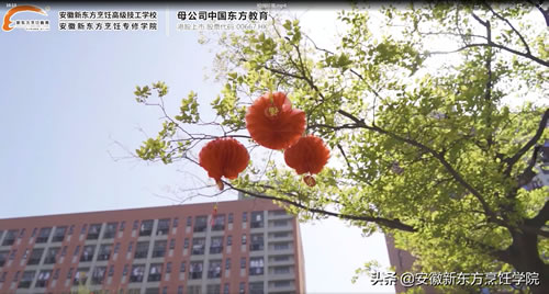 描写校园景色的段落_描写校园的优美句子