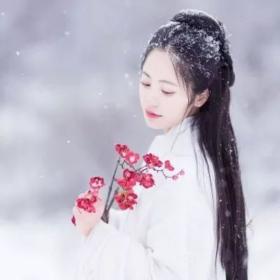 带梅的诗句唯美_描写梅花的绝美诗句