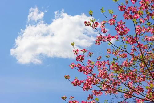 дഺִʫ_ഺִʫ辫ѡ