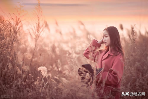 带李的诗句有哪些_李字开头的唯美诗句