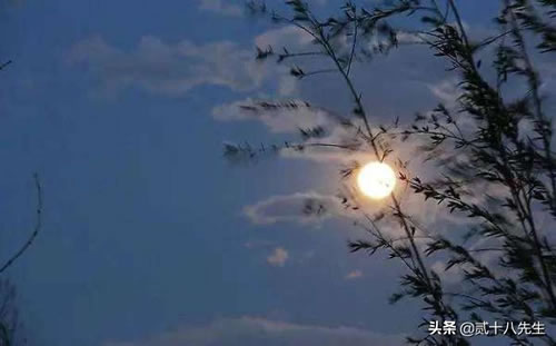 月亮诗句大全唯美_月亮唯美意境的话