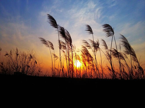 形容夕阳美景的句子_夕阳余晖的唯美诗句