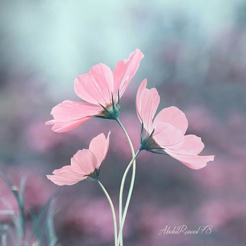 ľ˵˵_־