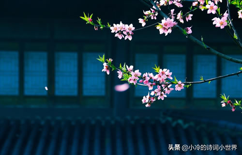 綬׾_綬׾Ķ