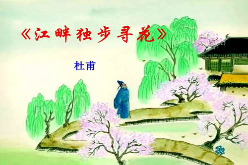 江畔独步寻花其四赏析_江畔独步寻花的思想感情