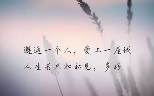 ľ˵˵_㷢ľ