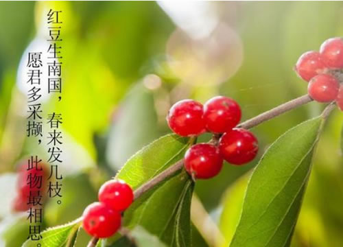 춹ʫά_춹ʫ˼