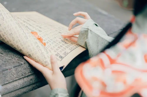 楚辞中最唯美的句子_楚辞中最唯美的句子赏析