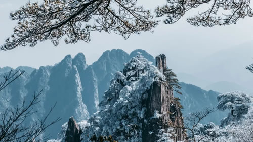 有关雪的诗词有哪些_关于雪的诗词名句