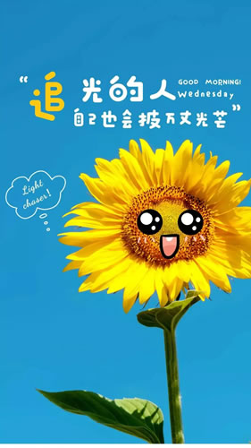 形容向日葵的唯美句子_向日葵朋友圈配文简短