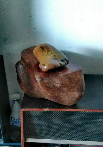 ǧ֮ ʼµ˼_ǧ֮ʼʾ
