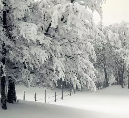 咏雪的古诗有哪些_关于雪的古诗大全