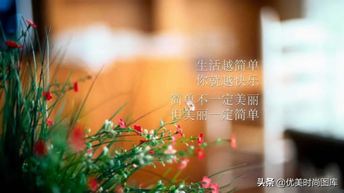 青春奋斗梦想励志句子_关于青春拼搏的句子励志
