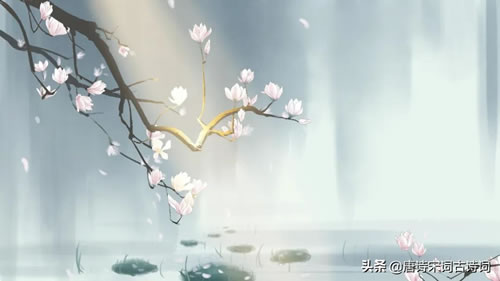 春风诗句大全集_描写春风的优美句子