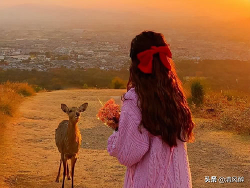 感慨生活的句子伤感_伤感失望的句子人生感悟