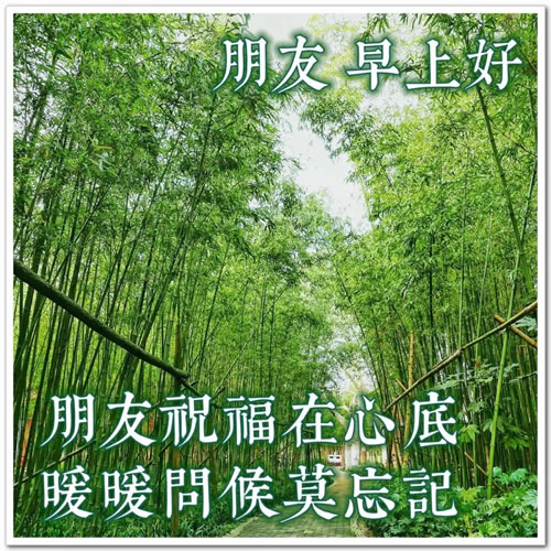 糿̫̾_̫Ψ