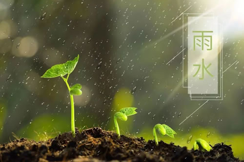 关于雨水节气的诗_描写雨水节气的古诗四句