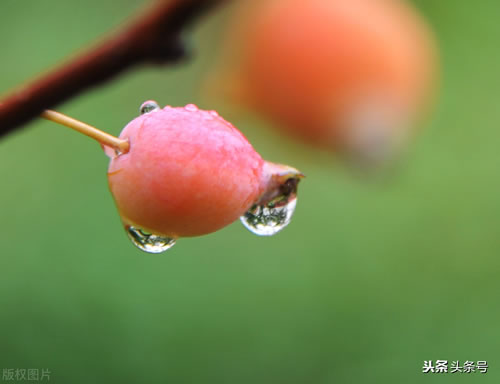 秋雨绵绵的唯美句子_描写下雨的好句分享