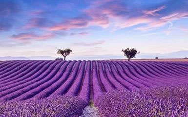 ڰִʫԼ_дִʫ