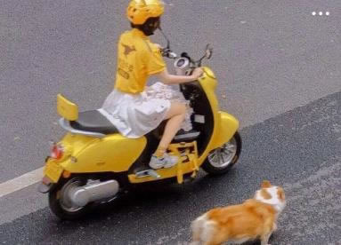 Լļ_ԼľӼ