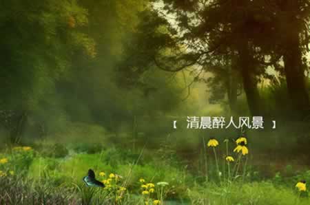 早安励志语录