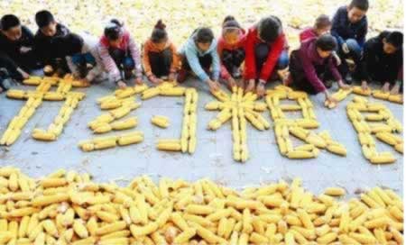 节约粮食名言